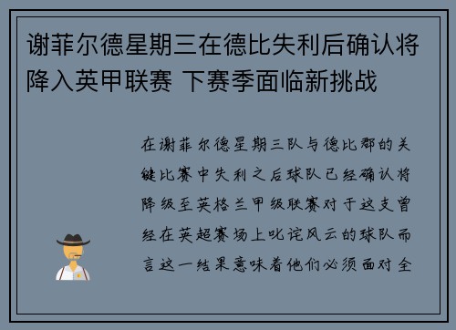 谢菲尔德星期三在德比失利后确认将降入英甲联赛 下赛季面临新挑战