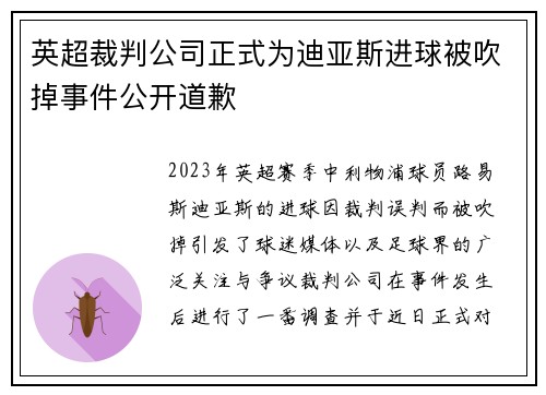 英超裁判公司正式为迪亚斯进球被吹掉事件公开道歉 英超裁判公司正式为迪亚斯进球被吹掉事件公开道歉